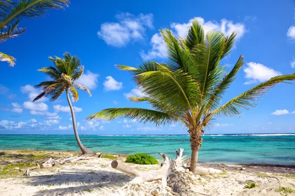 Caraïbes 15 jours 5 Go